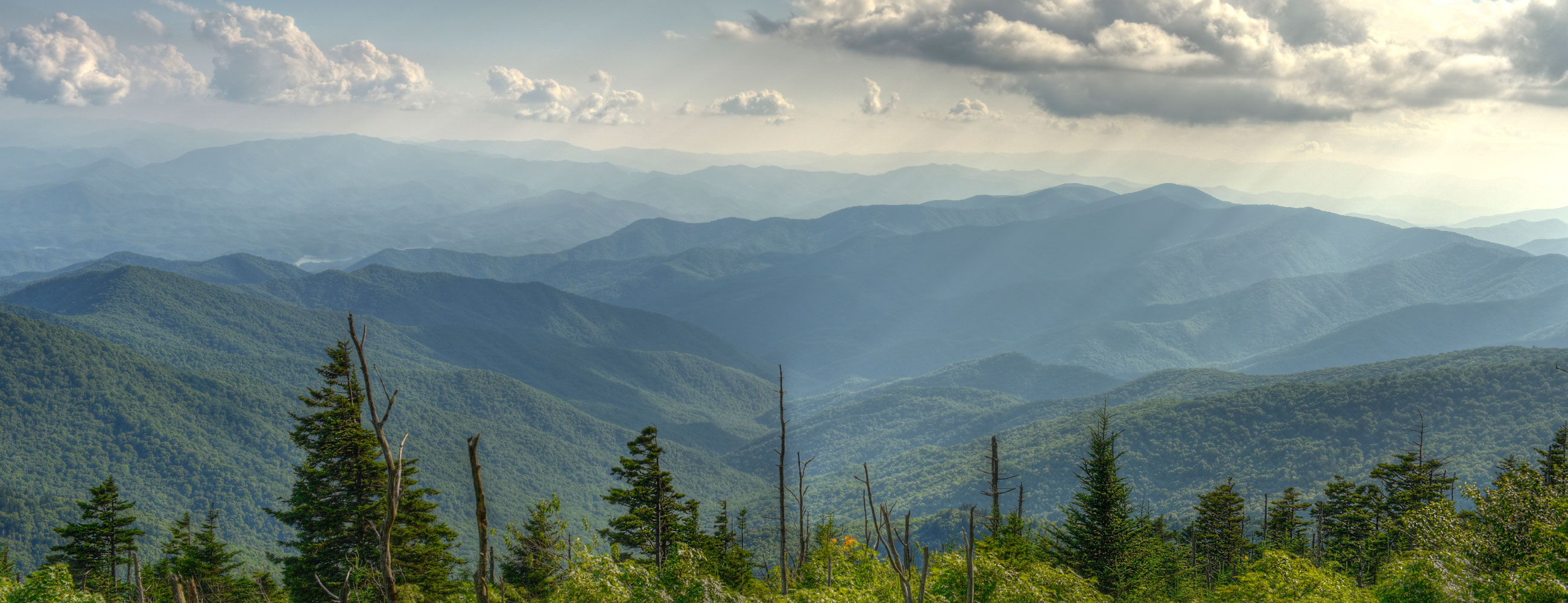 Dairytech Africa Dairytech Africa